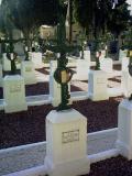 image of grave number 412071